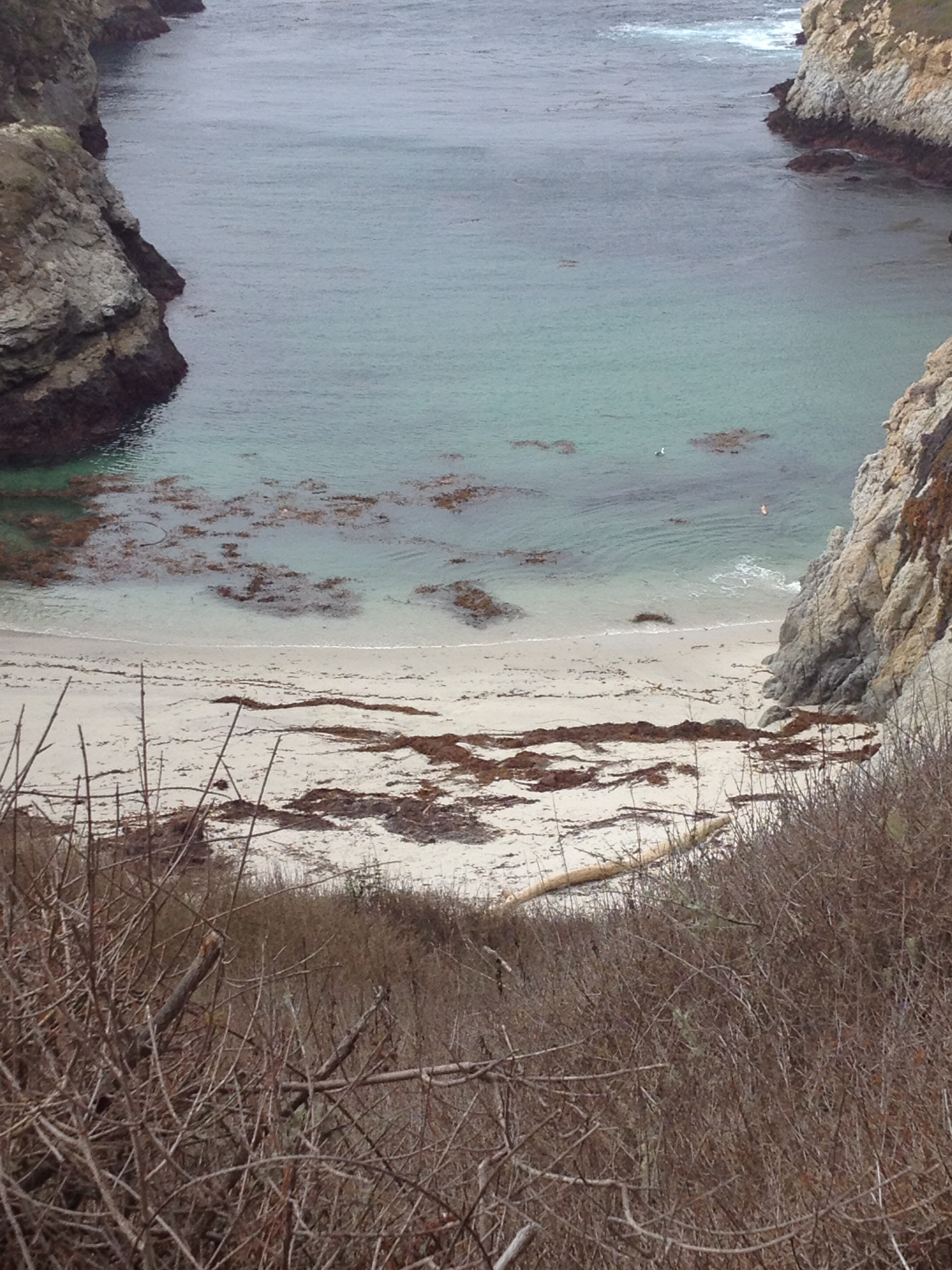 Point Lobos - China Cove
